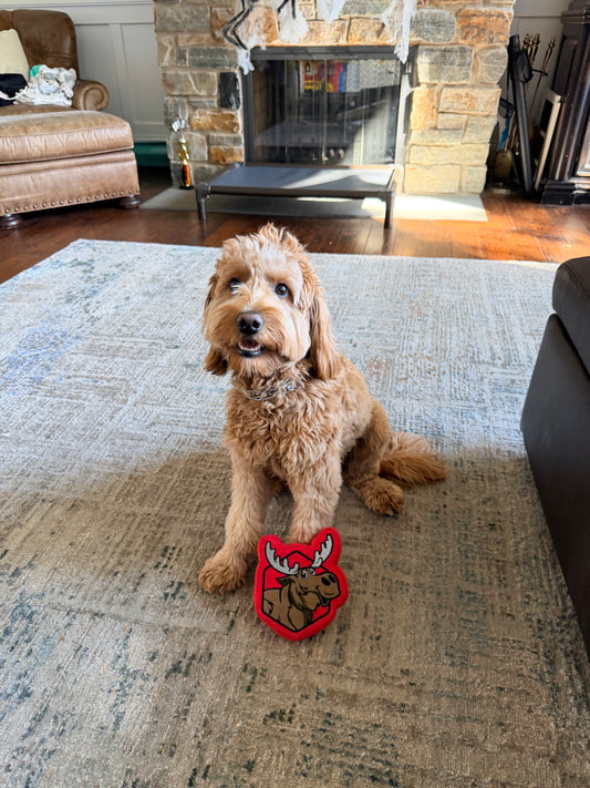 Mickey The Moose Dog Toy