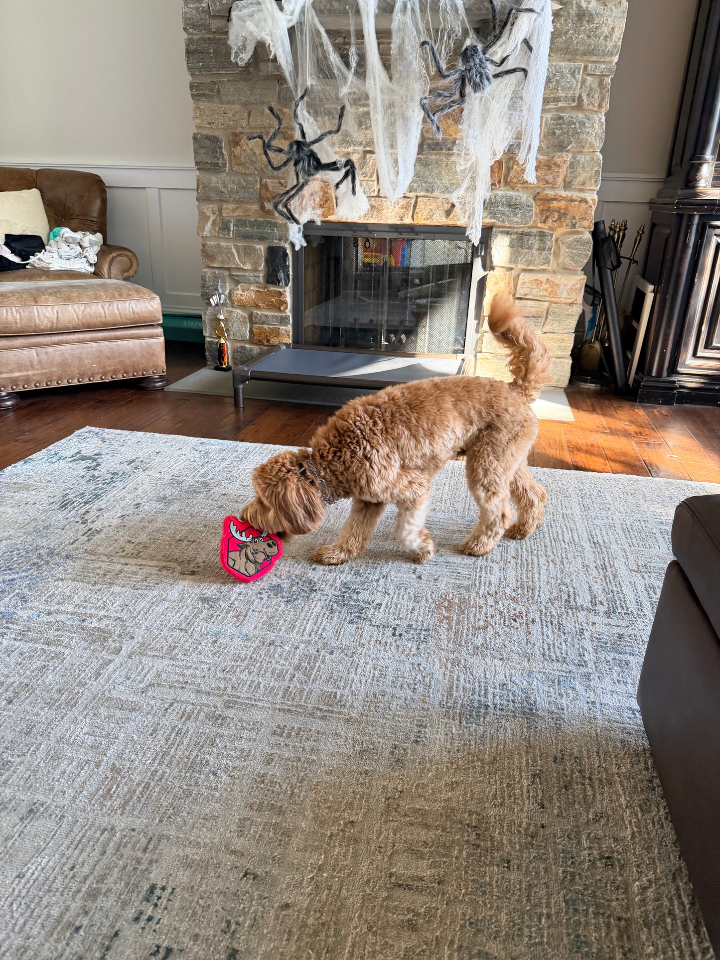 Mickey The Moose Dog Toy