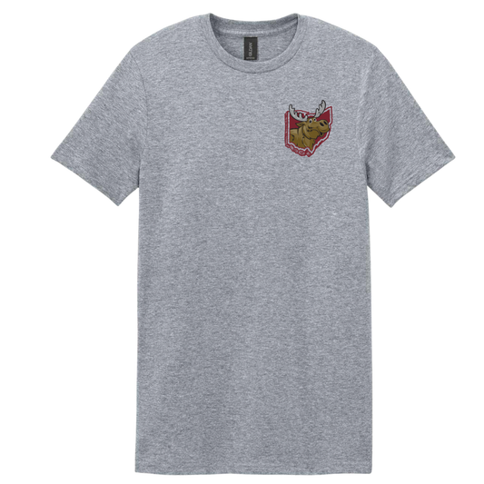 Don't Mess With Ohio Tee